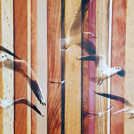 Achtern Diek, Inklusive Stellplatz Und Strandkorb Von Mai Bis September * 罗斯托克